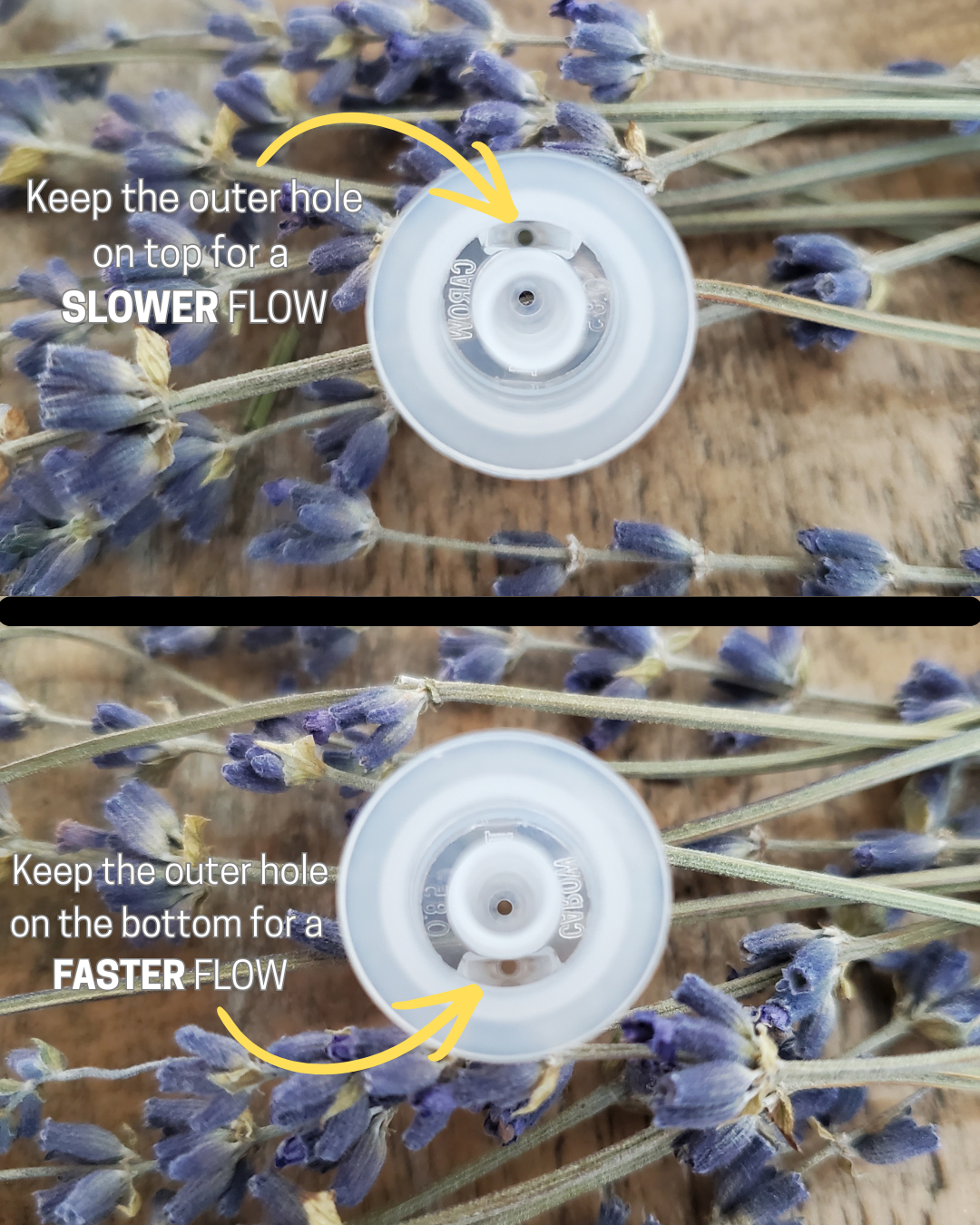 Lavender Essential Oil