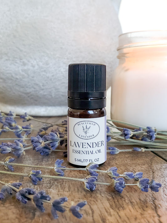 Lavender Essential Oil